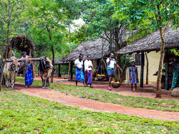 11 Days Sri Lanka Tour Package