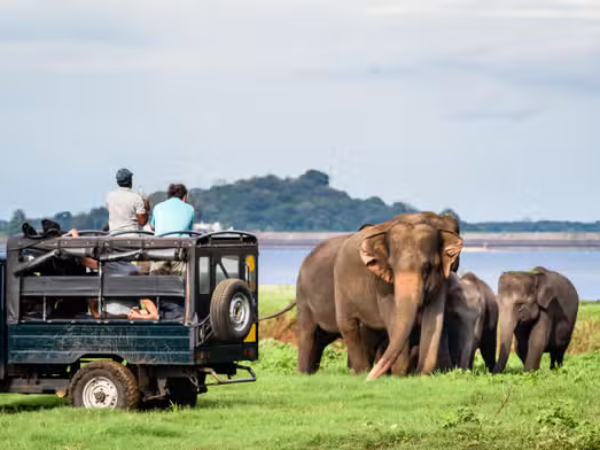 Sri Lanka Family Holiday Package