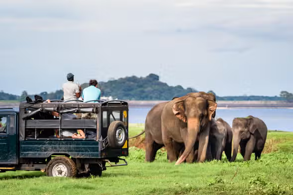 Yala Jeep Safari Sri Lanka
