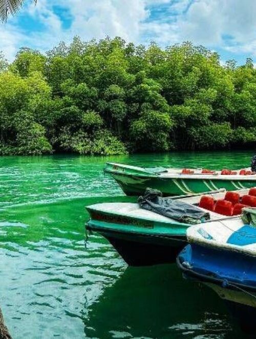 7 Days Sri Lanka Tour Package