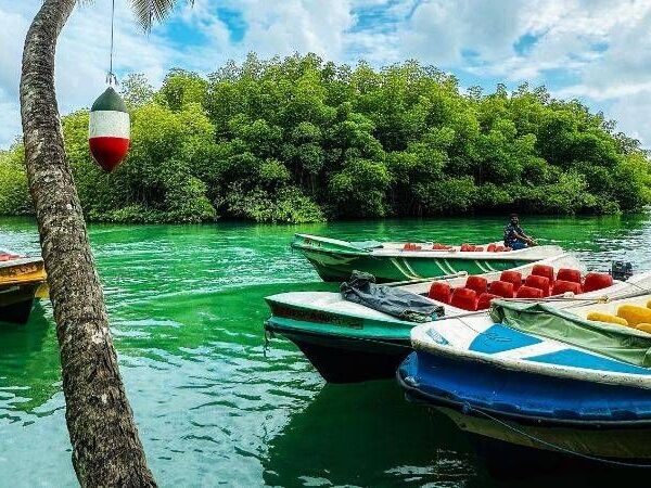 7 Days Sri Lanka Tour Package