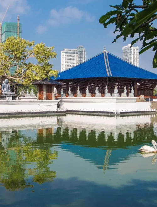 8 Days Sri Lanka Tour Package