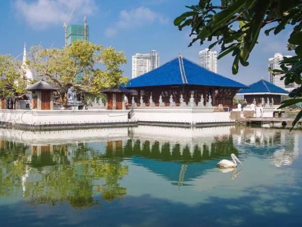 8 Days Sri Lanka Tour Package